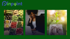 Pinpoint for startups, SMEs, and investors