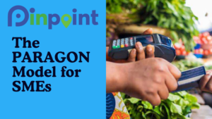 Pinpoint PARAGON Model for SMEs